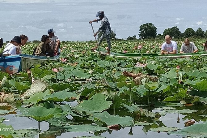 Lotus Silk Farm: Discover Learn and Experiment the Lotus Flower - Why this lotus farm visit feels different