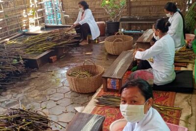 Lotus Silk Farm: Discover Learn and Experiment the Lotus Flower