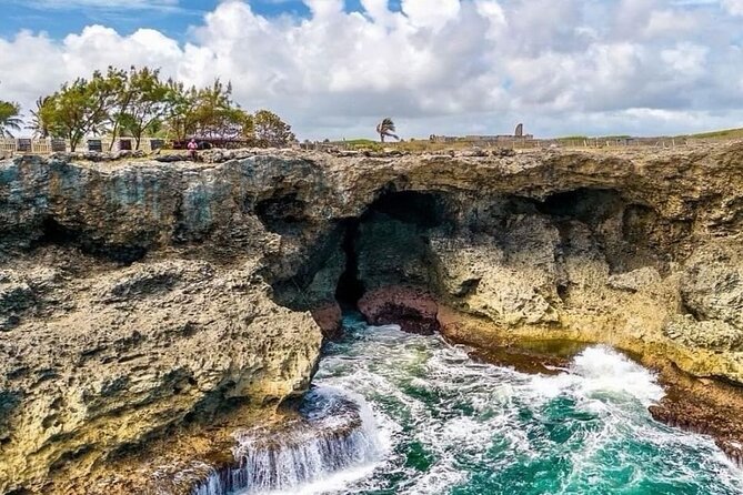 Lunch At Animal Flower Cave with Scenic Drive of Barbados - Who will enjoy this tour most