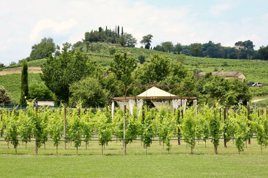 Lunch in the garden and Wine Tasting - Key points to know before booking