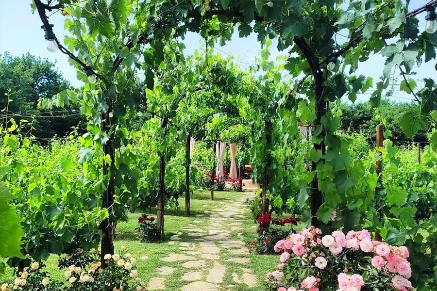Lunch in the garden and Wine Tasting - Arriving at Tenuta Torciano near San Gimignano