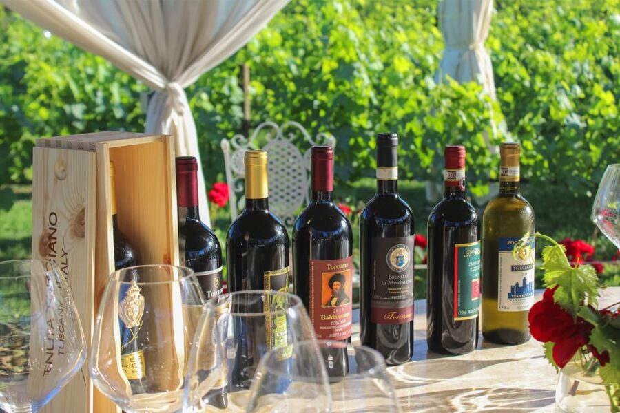 Lunch in the garden and Wine Tasting - Learning to taste Tuscan wine
