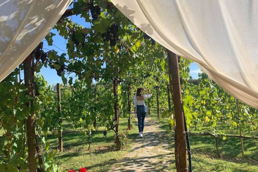 Lunch in the garden and Wine Tasting - Practical advice for a smooth visit