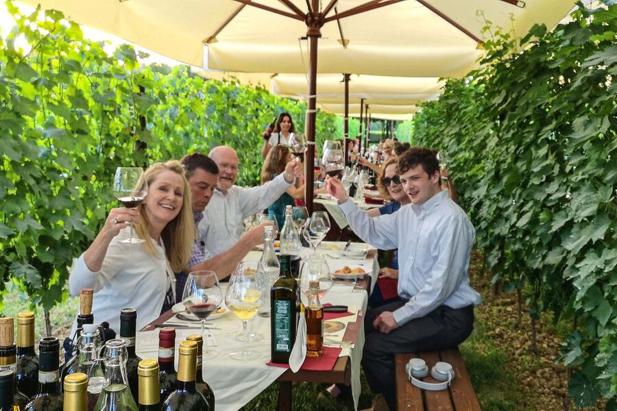 Lunch in the garden and Wine Tasting - Should you book the Tenuta Torciano garden lunch?