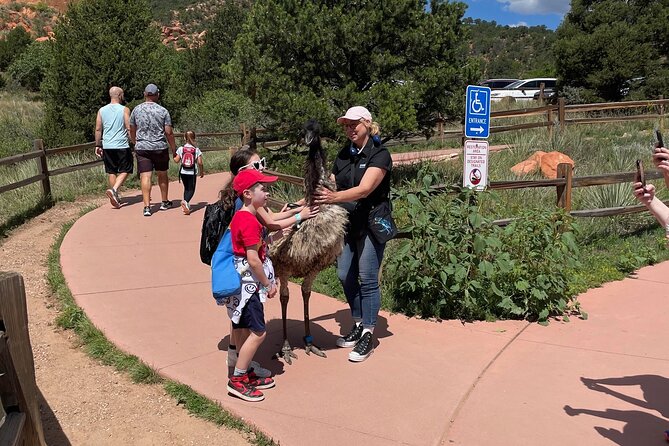 Luxury Private Van to Pikes Peak Garden of Gods - The climb to Pikes Peak