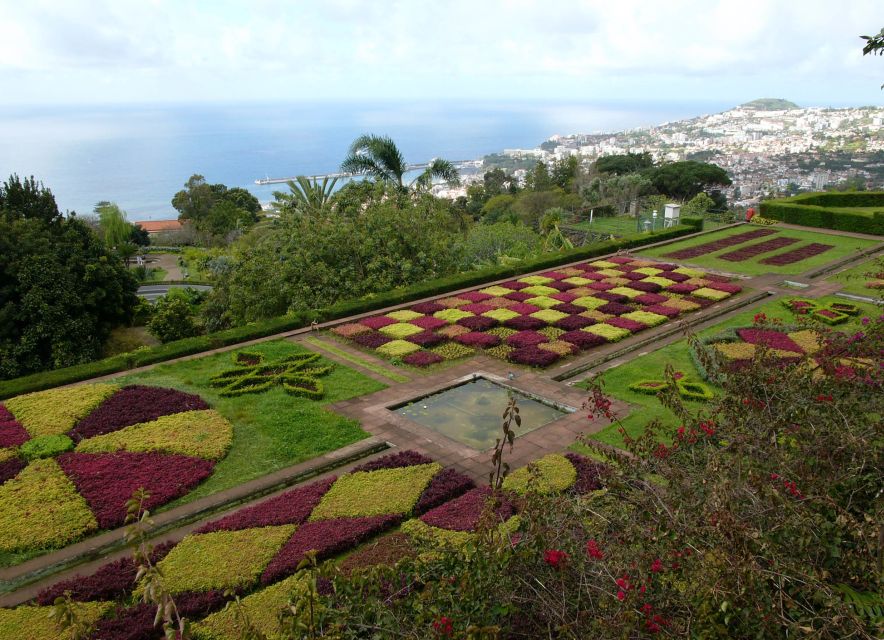 Madeira: Botanical Garden in a Tuk-Tuk Tour - Why the uphill tuk-tuk ride matters