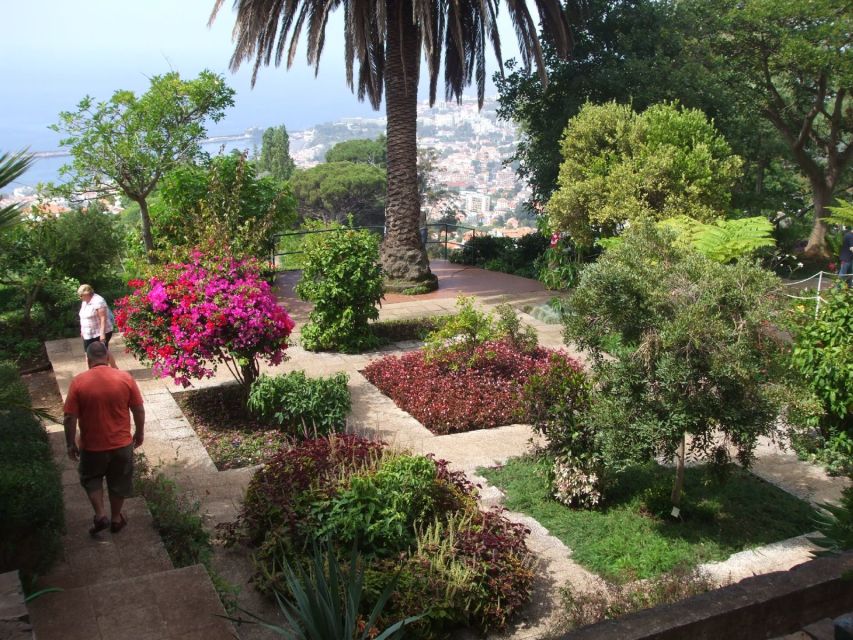 Madeira: Botanical Garden in a Tuk-Tuk Tour - The Museum of Natural History option