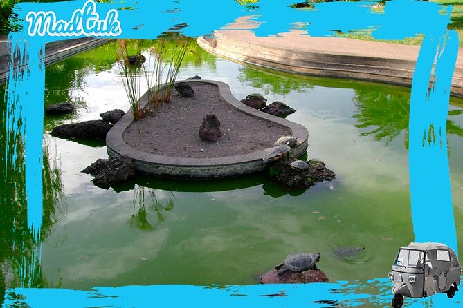 Madeira Botanical Gardens and Old Town Tuk Tuk Tour by MadTuk - Who will enjoy this short Madeira outing