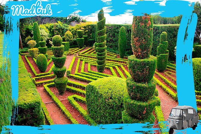 Madeira Botanical Gardens and Old Town Tuk Tuk Tour by MadTuk - Passing the farmers’ market and Funchal’s Old Zone