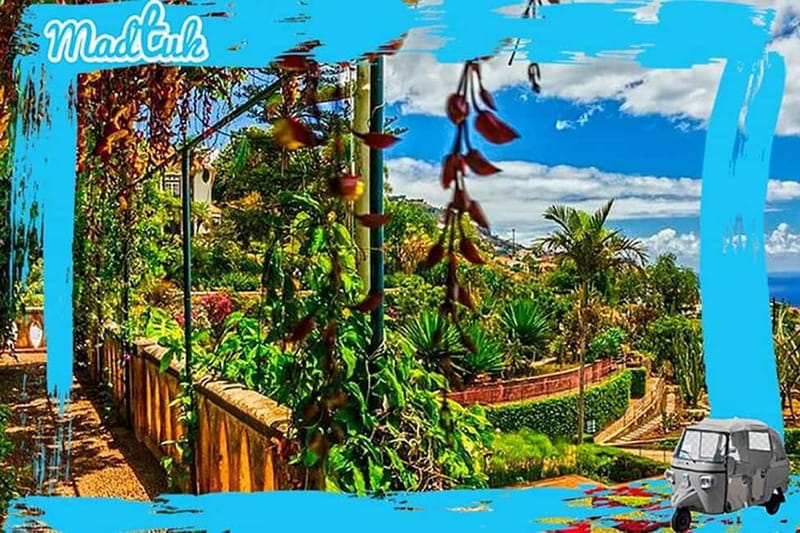 Madeira: Botanical Gardens + Old Town Tuk-Tuk Tour by MadTuk - Why the Botanical Garden makes a good Funchal outing