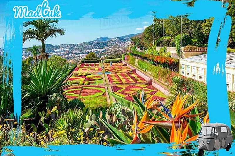 Madeira: Botanical Gardens + Old Town Tuk-Tuk Tour by MadTuk - The return ride and Funchal’s passing sights