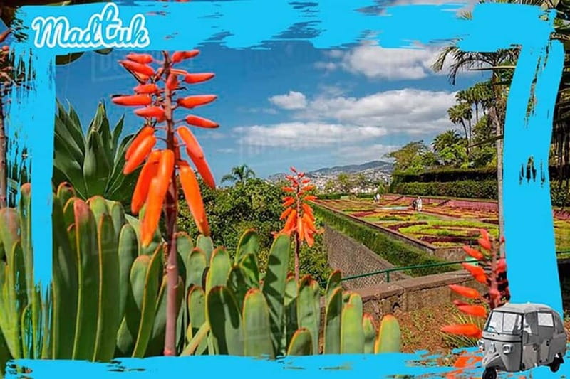 Madeira: Botanical Gardens + Old Town Tuk-Tuk Tour by MadTuk - What the $44 price really covers