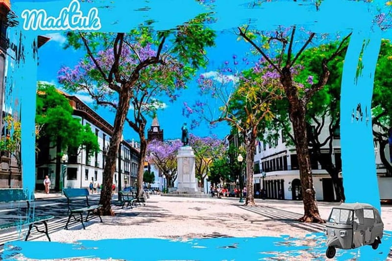 Madeira: Botanical Gardens + Old Town Tuk-Tuk Tour by MadTuk - Who will get the most from this tour?