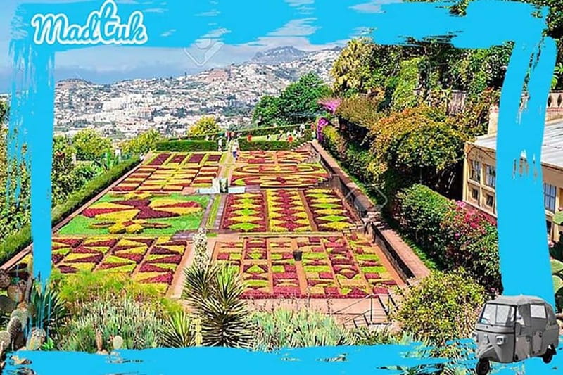 Madeira: Botanical Gardens + Old Town Tuk-Tuk Tour by MadTuk - Should you book it?