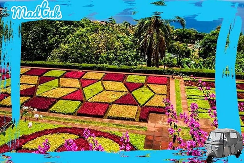 Madeira: Botanical Gardens + Old Town Tuk-Tuk Tour by MadTuk - FAQ