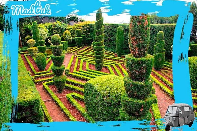 Madeira: Botanical Gardens + Old Town Tuk-Tuk Tour by MadTuk - Seventy-five minutes among Madeira’s plants