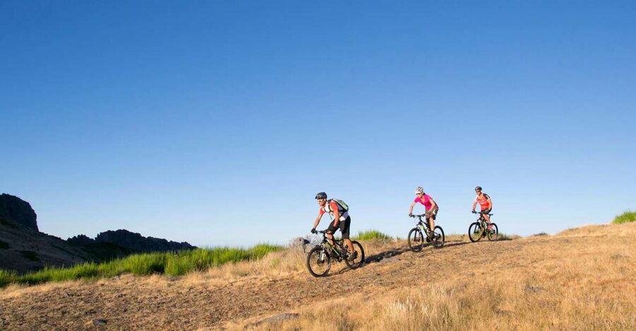Madeira Botanical Levels Bike Tour – Scenic Trail Experience - Forest riding through laurel, eucalyptus, and pine