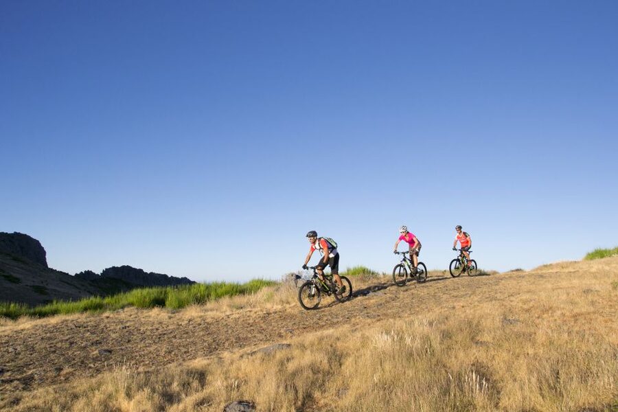 Madeira Botanical Levels Bike Tour – Scenic Trail Experience - Camacha adds village roads and a change of pace
