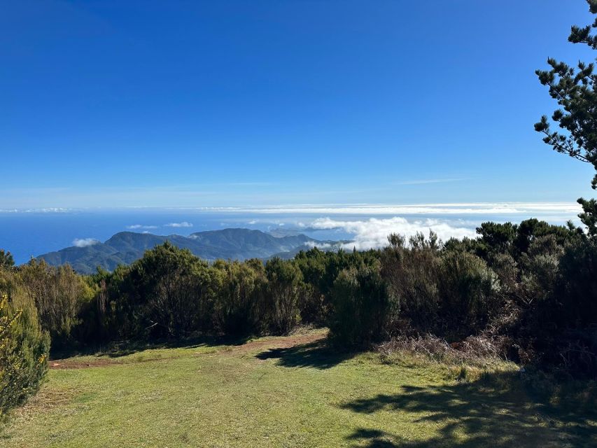 Madeira Botanical Levels Bike Tour – Scenic Trail Experience - Weather, group size, and the value of local guidance