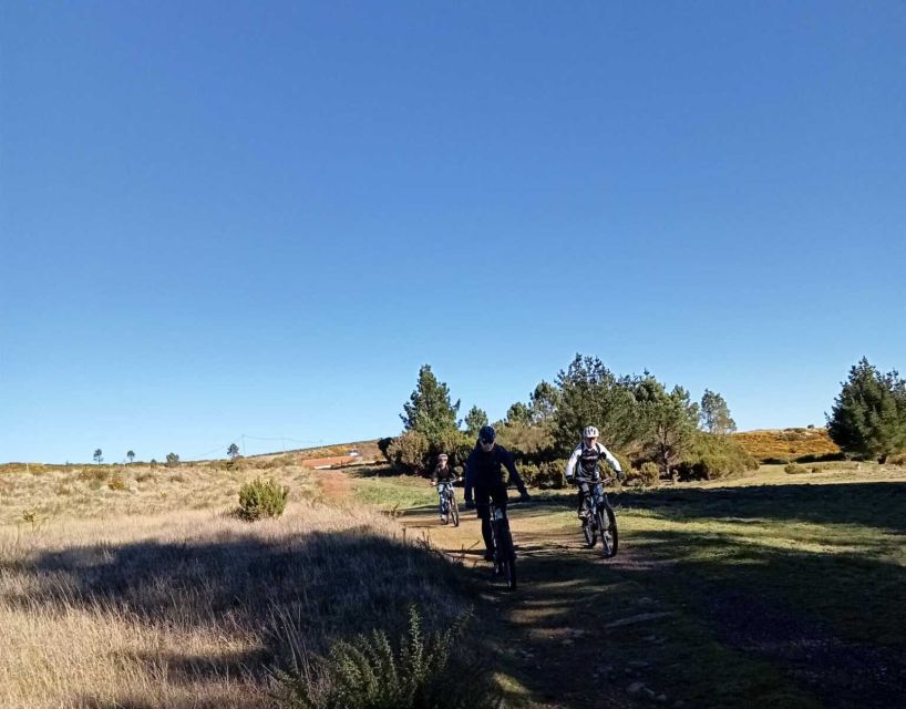 Madeira Botanical Levels Bike Tour – Scenic Trail Experience - Should you book the Madeira Botanical Levels Bike Tour?
