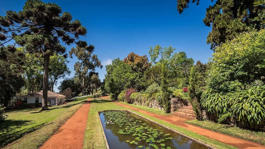 Madeira: Botanical, Monte Palace, and Palheiro Gardens - The private format and guide John