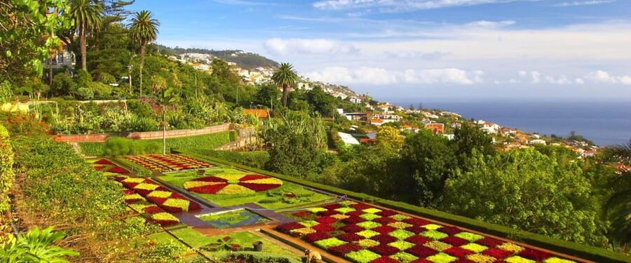 Madeira: Botanical, Monte Palace, and Palheiro Gardens - Is $176 good value for up to three people?