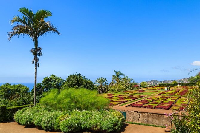 Madeira Highlights: Toboggan, Garden & Cable Car (All-Inclusive) - Key points before you book