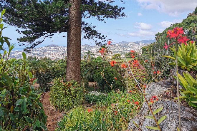 Madeira Highlights: Toboggan, Garden & Cable Car (All-Inclusive) - Is $199.13 per person a fair price?