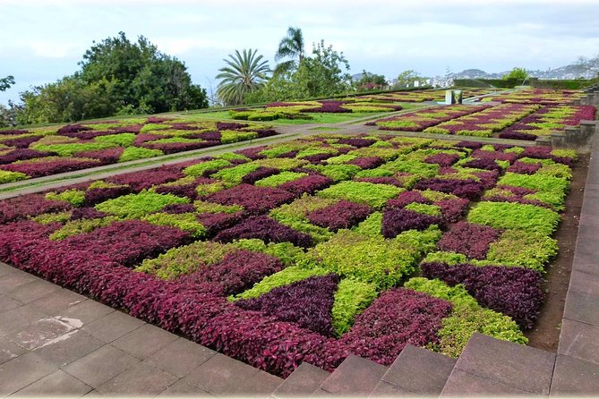 Madeira Highlights: Toboggan, Garden & Cable Car (All-Inclusive) - My verdict on the cable car, garden, and toboggan