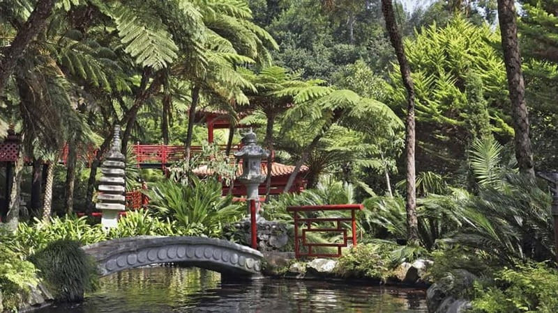 Madeira: Monte Tropical Garden + Old Town Tuk Tour by MadTuk - Riding uphill from Funchal in a local tuk-tuk