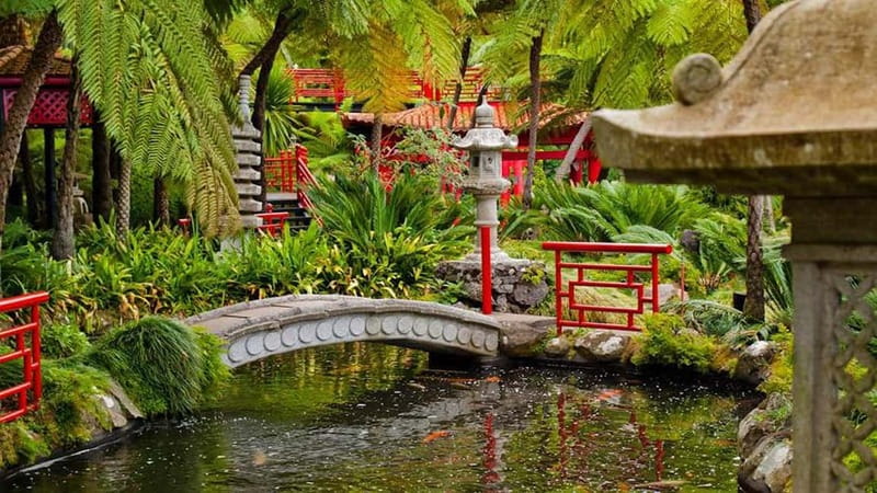 Madeira: Monte Tropical Garden + Old Town Tuk Tour by MadTuk - Who will enjoy this experience most?