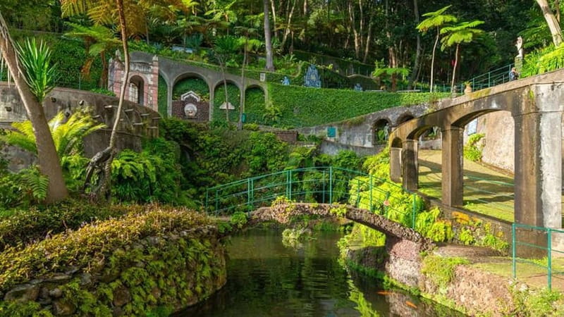 Madeira: Monte Tropical Garden + Old Town Tuk Tour by MadTuk - Guide quality can shape the whole outing