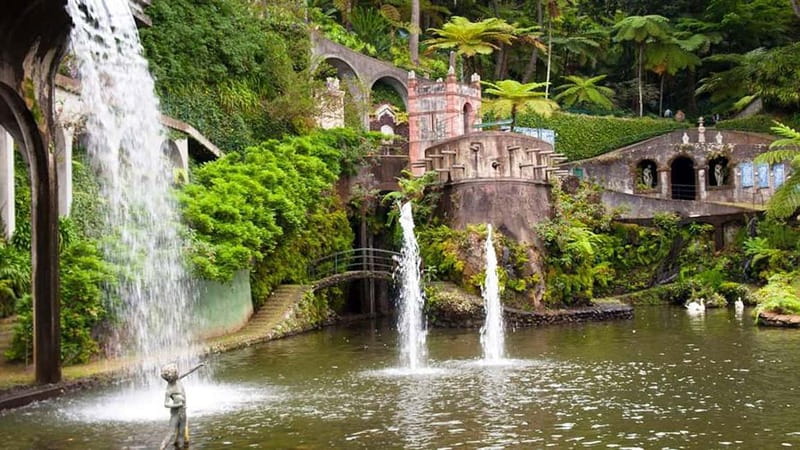Madeira: Monte Tropical Garden + Old Town Tuk Tour by MadTuk - Booking details worth knowing before you go