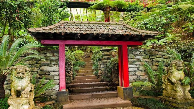 Madeira: Monte Tropical Garden + Old Town Tuk Tour by MadTuk - Should you book the Monte tuk-tuk tour?