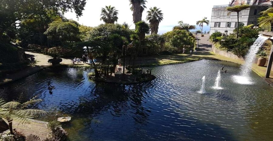 Madeira: Private Half-Day Guided Gardens Tour - Madeira Botanical Garden and the Garden of the Atlantic