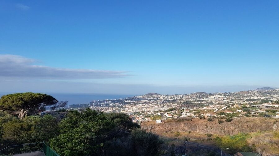 Madeira: Private Half-Day Guided Gardens Tour - Cancellation and booking flexibility