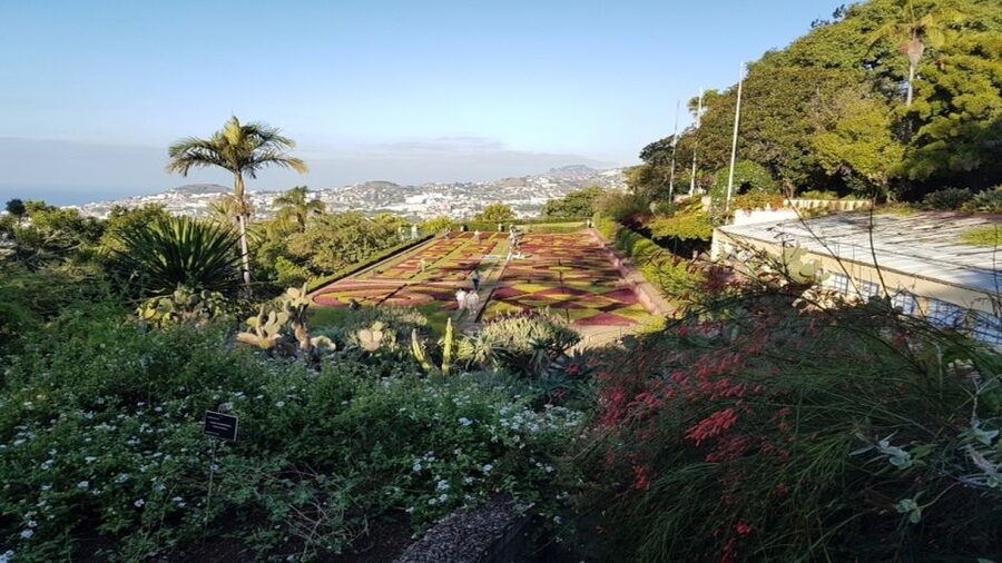 Madeira: Private Half-Day Guided Gardens Tour - The Monte Palace museum and its mineral collection