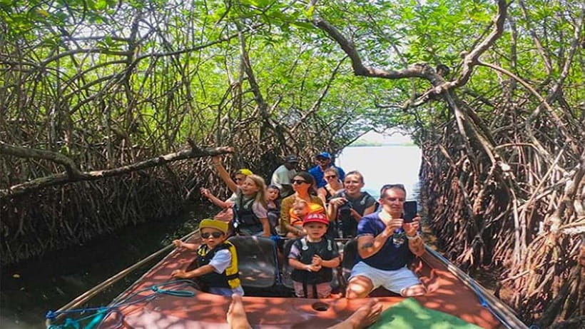 Madu River Boat Tour and Cinnamon Garden visit - Madu River’s Mangrove Tunnels and Open Water