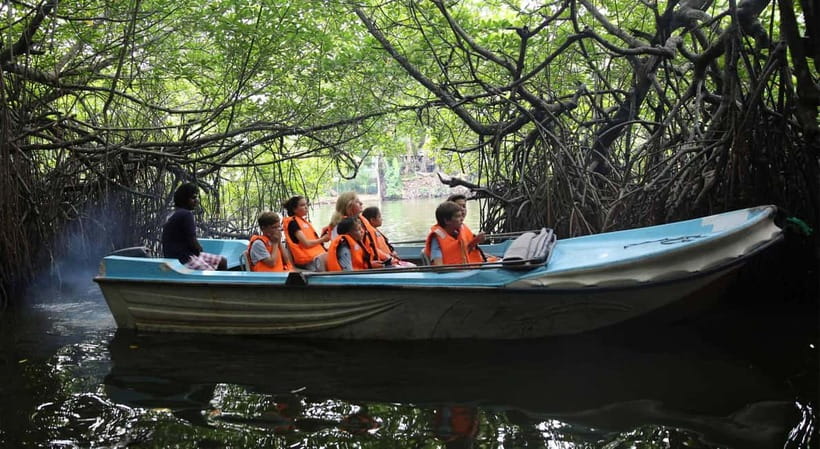 Madu River Boat Tour and Cinnamon Garden visit - Cinnamon Island and the Garden Visit