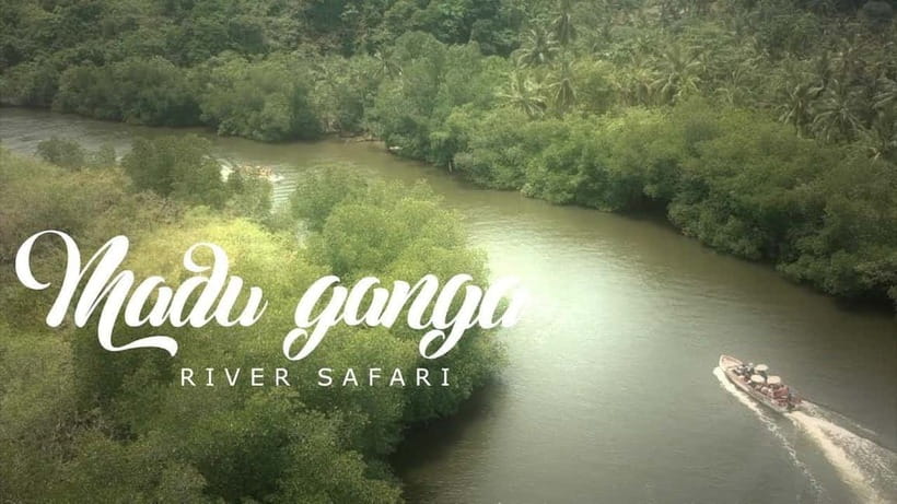 Madu River Boat Tour and Cinnamon Garden visit - Fish Massage and Optional Stops
