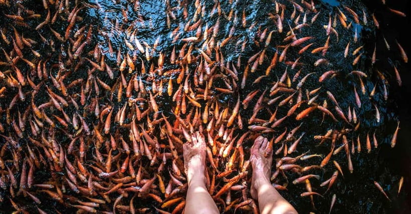 Madu River Boat Tour and Cinnamon Garden visit - What the $29 Price Really Buys
