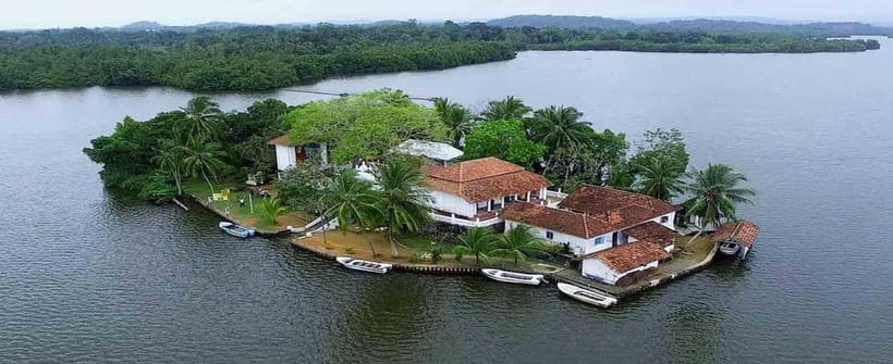 Madu River Boat Tour and Cinnamon Garden visit - Meeting Point, Timing, and What to Bring