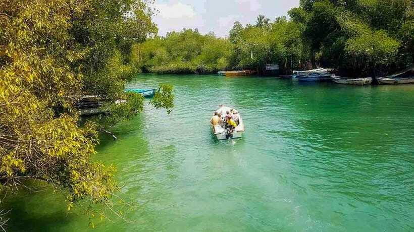 Madu River Boat Tour and Cinnamon Garden visit - Guide Quality and the Feel of the Ride