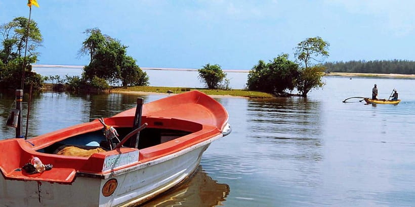 Madu River Boat Tour and Cinnamon Garden visit - Traditional Fishing Traps in the Shallows