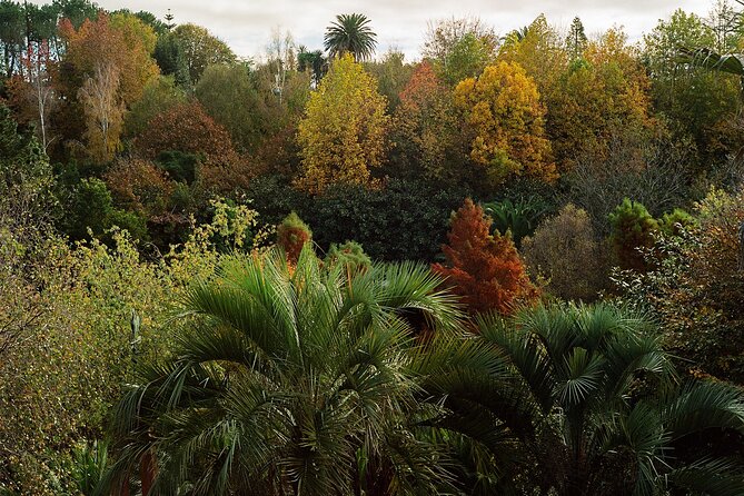 Magical and Exclusive Private Visit to the Fonte Baxa Garden, Luarca - What makes Fonte Baxa different from a normal garden visit