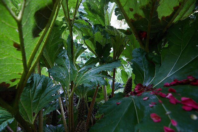 Magical and Exclusive Private Visit to the Fonte Baxa Garden, Luarca - Is $18.06 a fair price?
