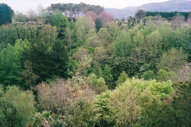 Magical and Exclusive Private Visit to the Fonte Baxa Garden, Luarca - A two-hour walk through public and private grounds