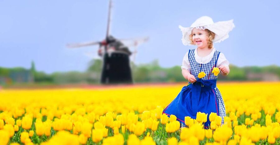 Magical Delft and the Keukenhof Estate: Tulips Galore - Key points to know before booking
