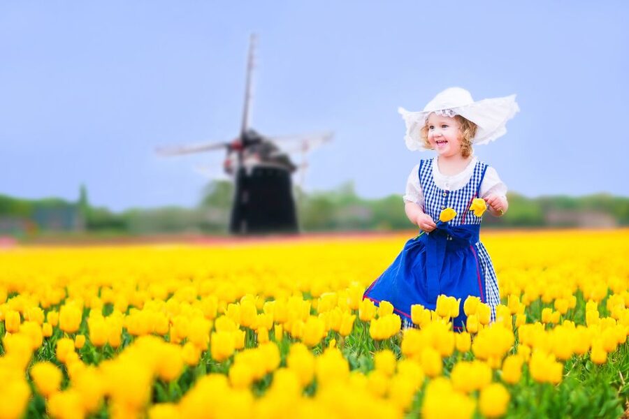 Magical Delft and the Keukenhof Estate: Tulips Galore - Delft in 90 minutes: canals, churches, and blue pottery shops