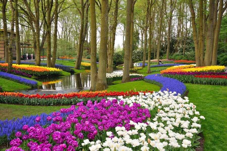 Magical Delft and the Keukenhof Estate: Tulips Galore - The short transfer to Keukenhof